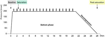 Functional Profiling Reveals Altered Metabolic Activity in Divers’ Oral Microbiota During Commercial Heliox Saturation Diving